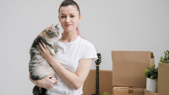 Déménagement avec des animaux : Comment prévenir les risques de fugue ?